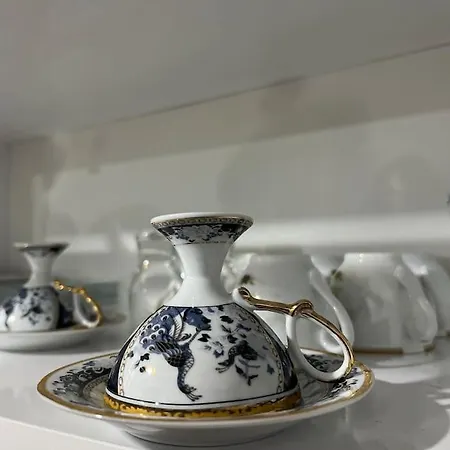 Daire Tekfur Sarayi Ve Kariye Muezesi Yakininda Tarihi Ev İstanbul